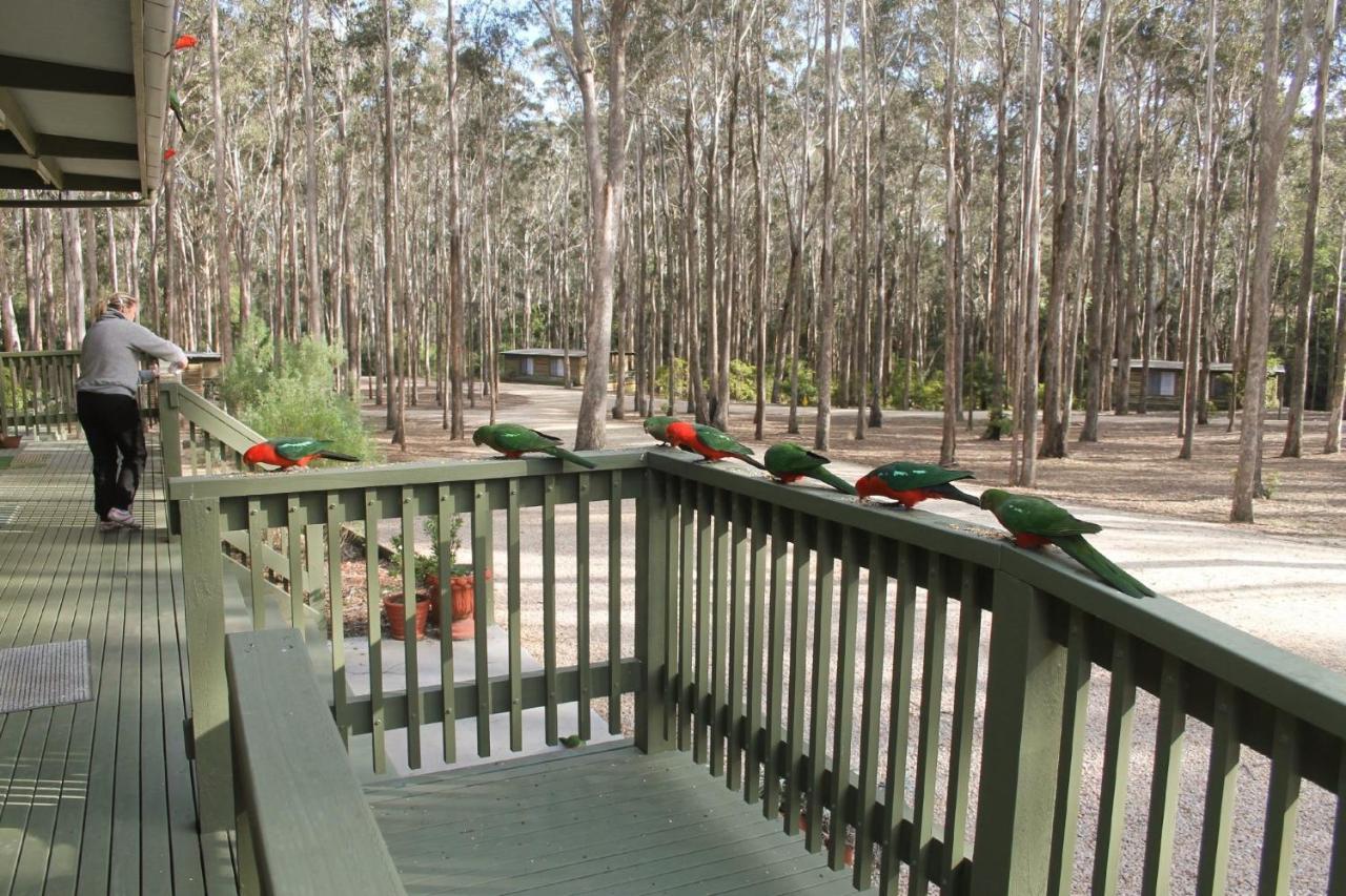 Lakes Entrance Log Cabins ภายนอก รูปภาพ