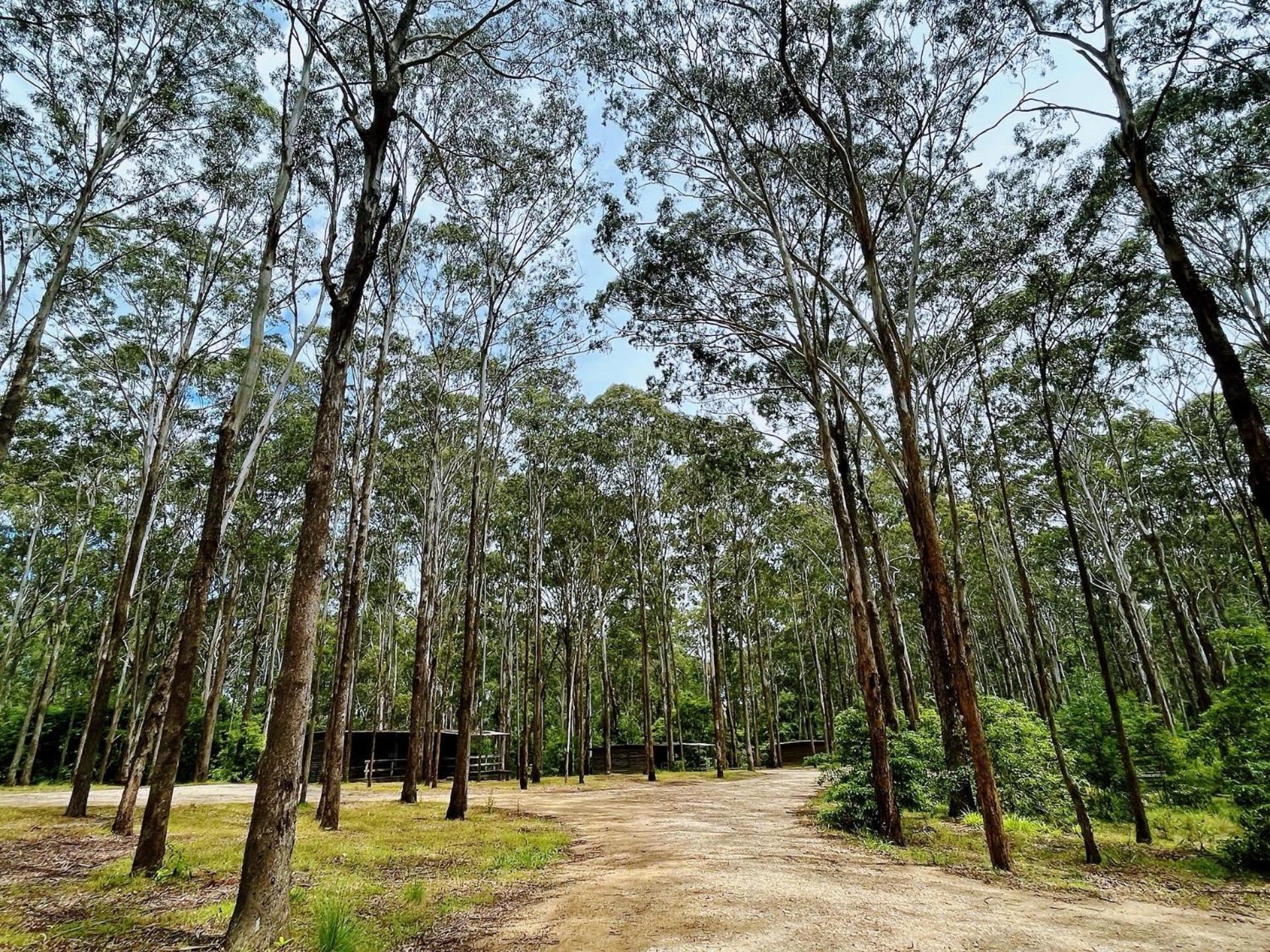 Lakes Entrance Log Cabins ภายนอก รูปภาพ